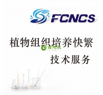 植物组织培养快繁