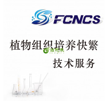 植物组织培养快繁